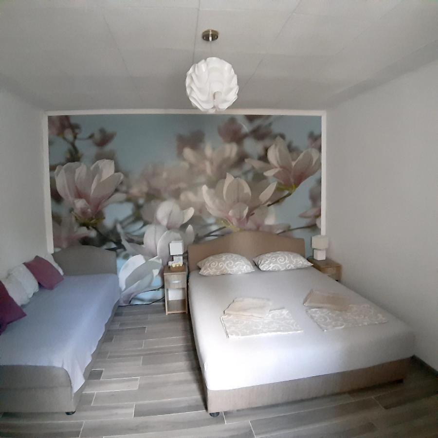 Apartamento Vicky 1 Kotor Exterior foto